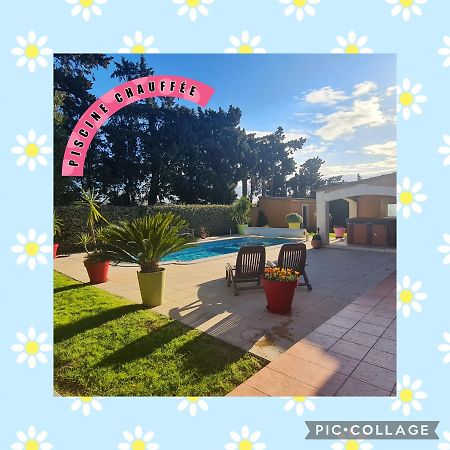 Villa Flamenca - Piscine Chauffee Châteaurenard Exteriör bild